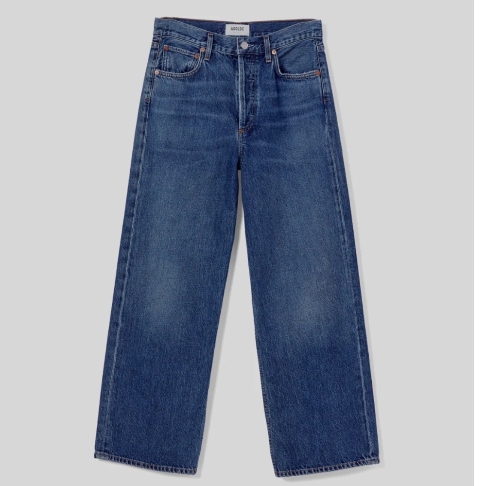 AGOLDE ren jeans size 31